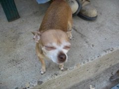 My lil' bug, Mocha