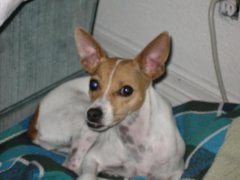 my Courtney baby!