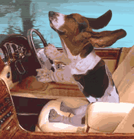 Weeeee!!!!