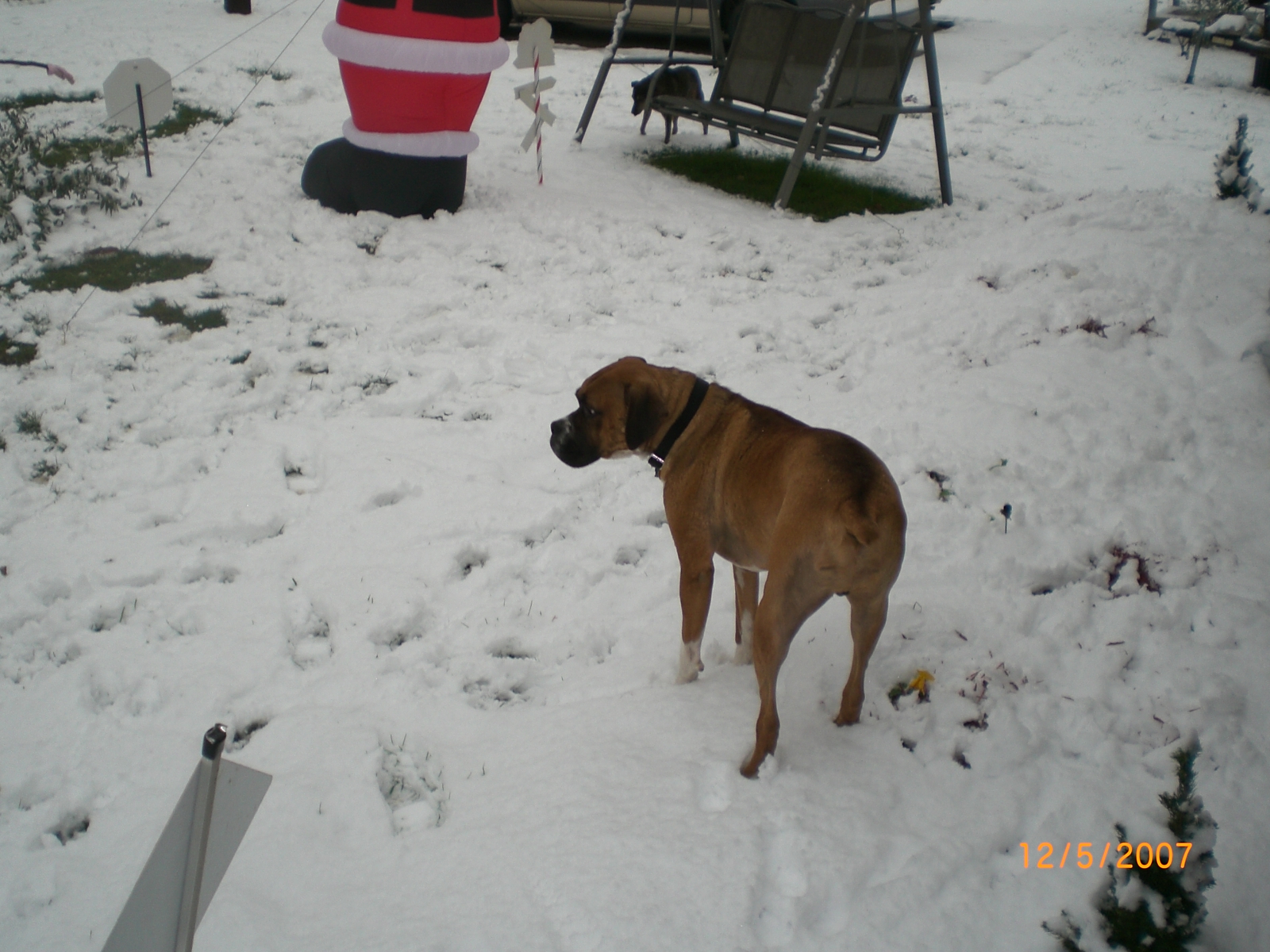 Kelly2010