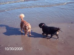 candy and floss down the beach at portobello edinburgh