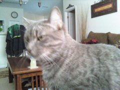 She knows her mommy is not feeling 100 % so she came to see how I was..