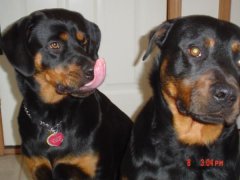 Picture 018
