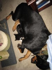 jan09 006