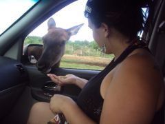 Summer 2011
