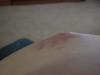 post-204171-13813131563785_thumb.jpg