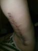 post-10335-13813662214748_thumb.jpg