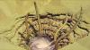 post-20464-13813662102213_thumb.jpg