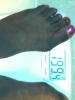 post-29813-13813662197869_thumb.jpg