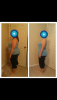 post-40592-13813662384365_thumb.png