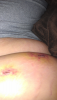 post-44088-13813662456628_thumb.png
