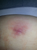 post-201360-0-78177300-1389152665_thumb.png