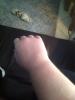 post-243449-14210032702881_thumb.jpg