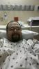 post-244445-14211609325657_thumb.jpg