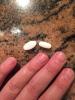 post-266918-14527851006712_thumb.jpg