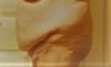 post-255457-0-78123500-1485879562_thumb.jpg