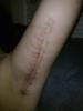 post-10335-13813662816235_thumb.jpg