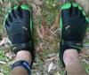 post-17584-1381366294317_thumb.jpg