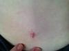 post-22442-13813811349454_thumb.jpg