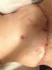 post-29065-13813663102282_thumb.jpg
