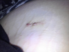 post-39090-13813663288132_thumb.png