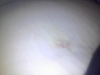 post-39090-13813663288763_thumb.png