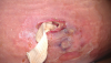 post-44088-13813662763596_thumb.png