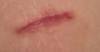 post-47084-13813663452887_thumb.jpg