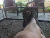 post-159547-0-94111700-1392150442_thumb.jpg