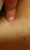post-260719-14558269264814_thumb.jpg