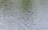 post-208361-13813134720352_thumb.jpg