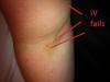 post-7941-13813658492207_thumb.jpg