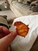 post-20735-13813811545586_thumb.jpg