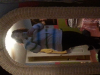 post-32930-13813811698068_thumb.png