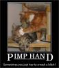 post-46516-1381366387426_thumb.jpg