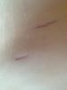 post-51774-13813663796115_thumb.jpg