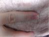 post-147109-0-70288600-1396236943_thumb.jpg