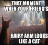 post-208484-14277610520162_thumb.jpg