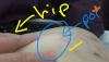 post-286579-14569948088084_thumb.jpg