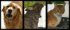 post-205630-13813133200943_thumb.png