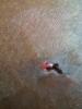 post-330546-13813139980257_thumb.jpg