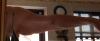 post-318687-13813141378876_thumb.jpg
