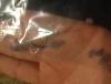 post-328823-13813141449394_thumb.jpg