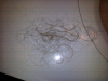 post-343016-13813141425926_thumb.png