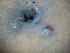 post-57215-13813664952077_thumb.png