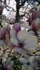 post-226756-14294146496352_thumb.jpg