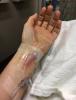 post-237766-0-66427900-1459961744_thumb.jpeg