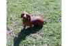post-204070-13813133248979_thumb.jpg