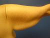 post-219079-13813139310328_thumb.jpg