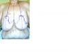 post-226326-13813139293109_thumb.jpg